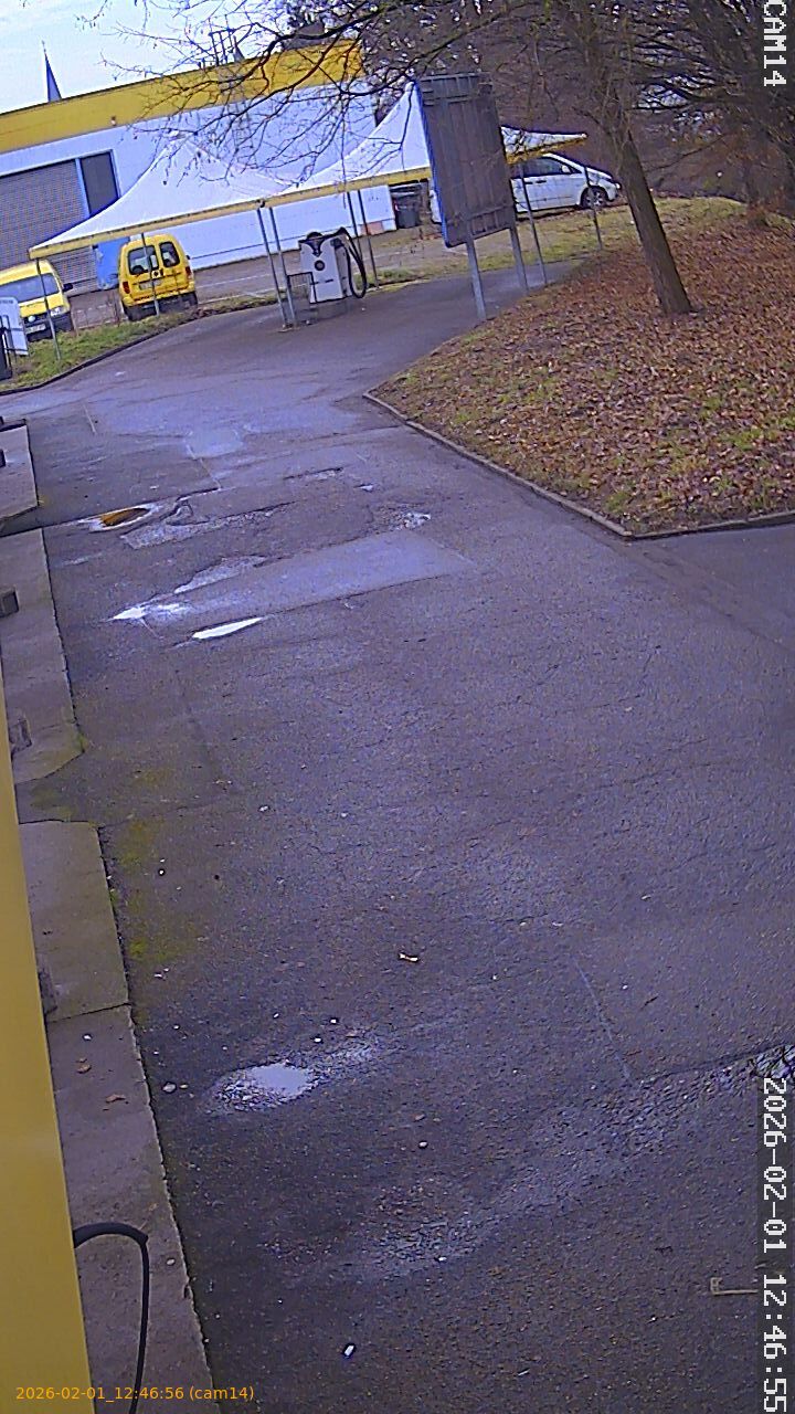 thumbnail_20260201124656