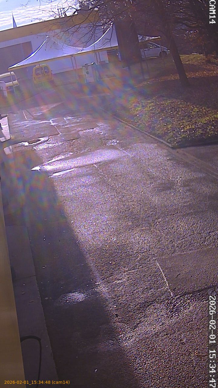 thumbnail_20260201153448