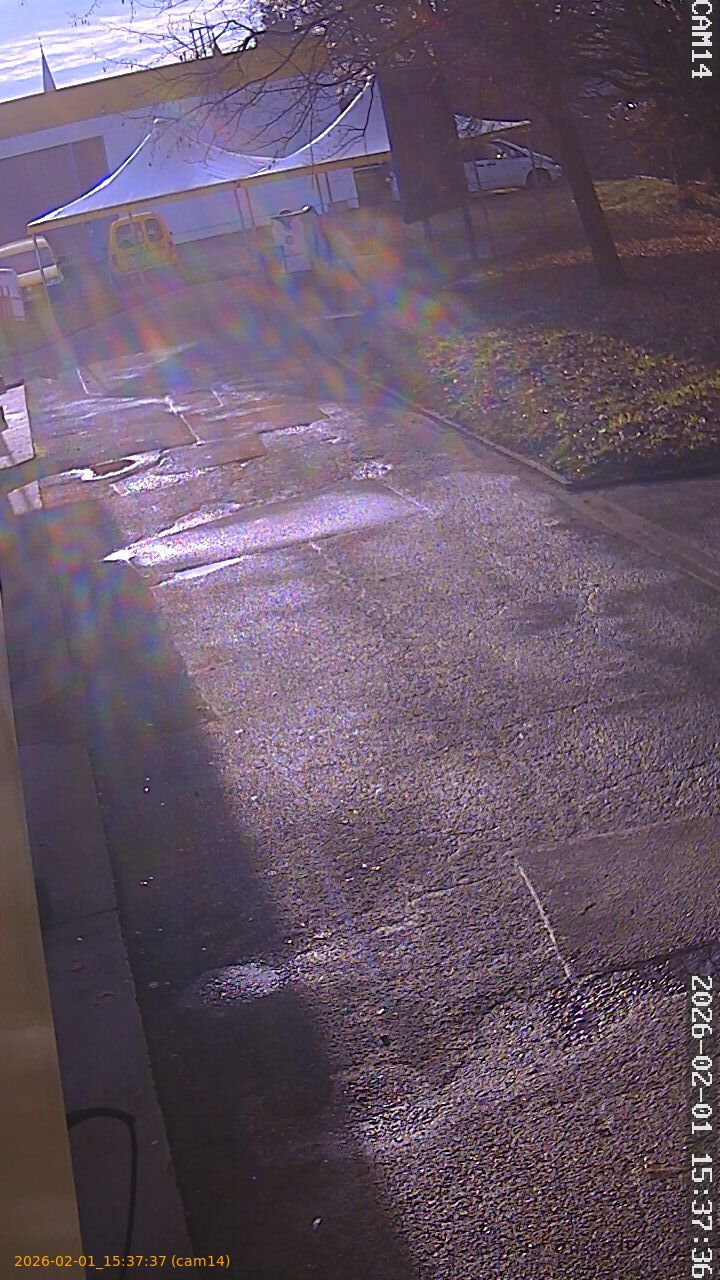 thumbnail_20260201153737