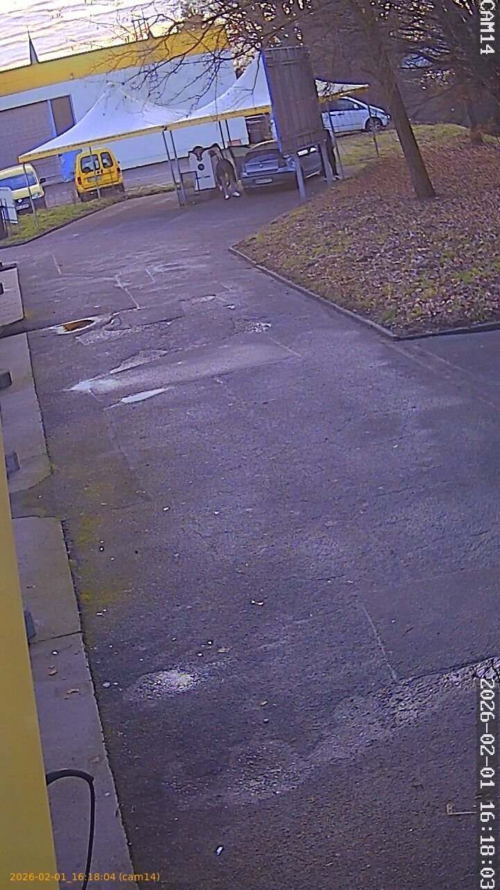 thumbnail_20260201161804