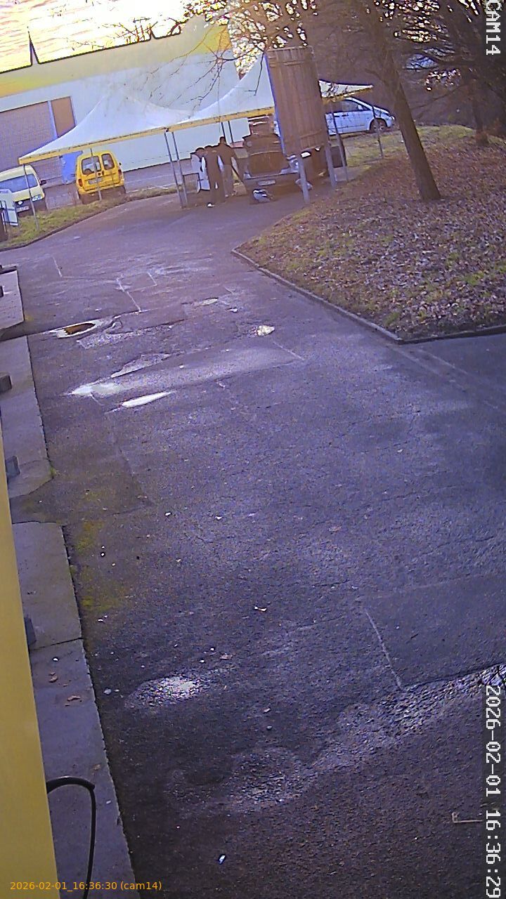 thumbnail_20260201163630