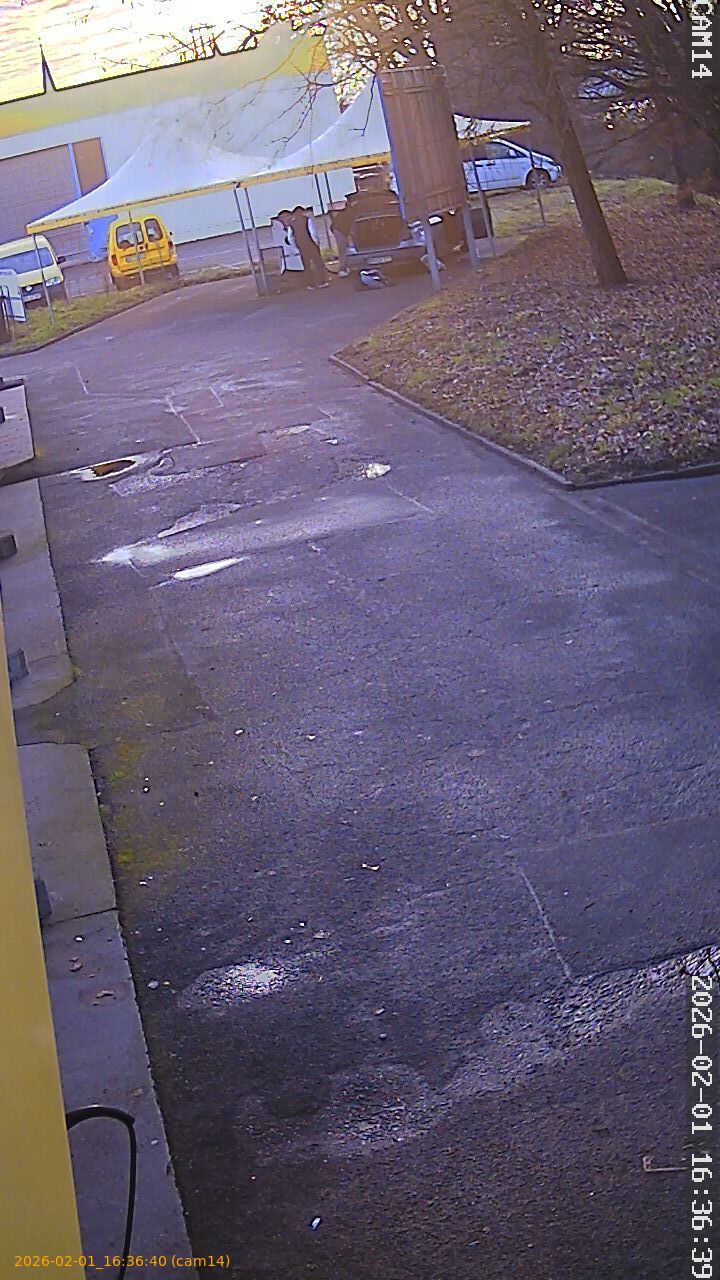 thumbnail_20260201163640