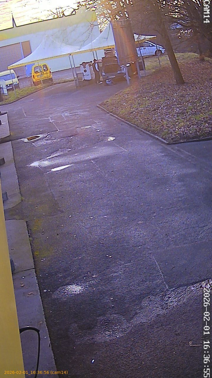 thumbnail_20260201163656