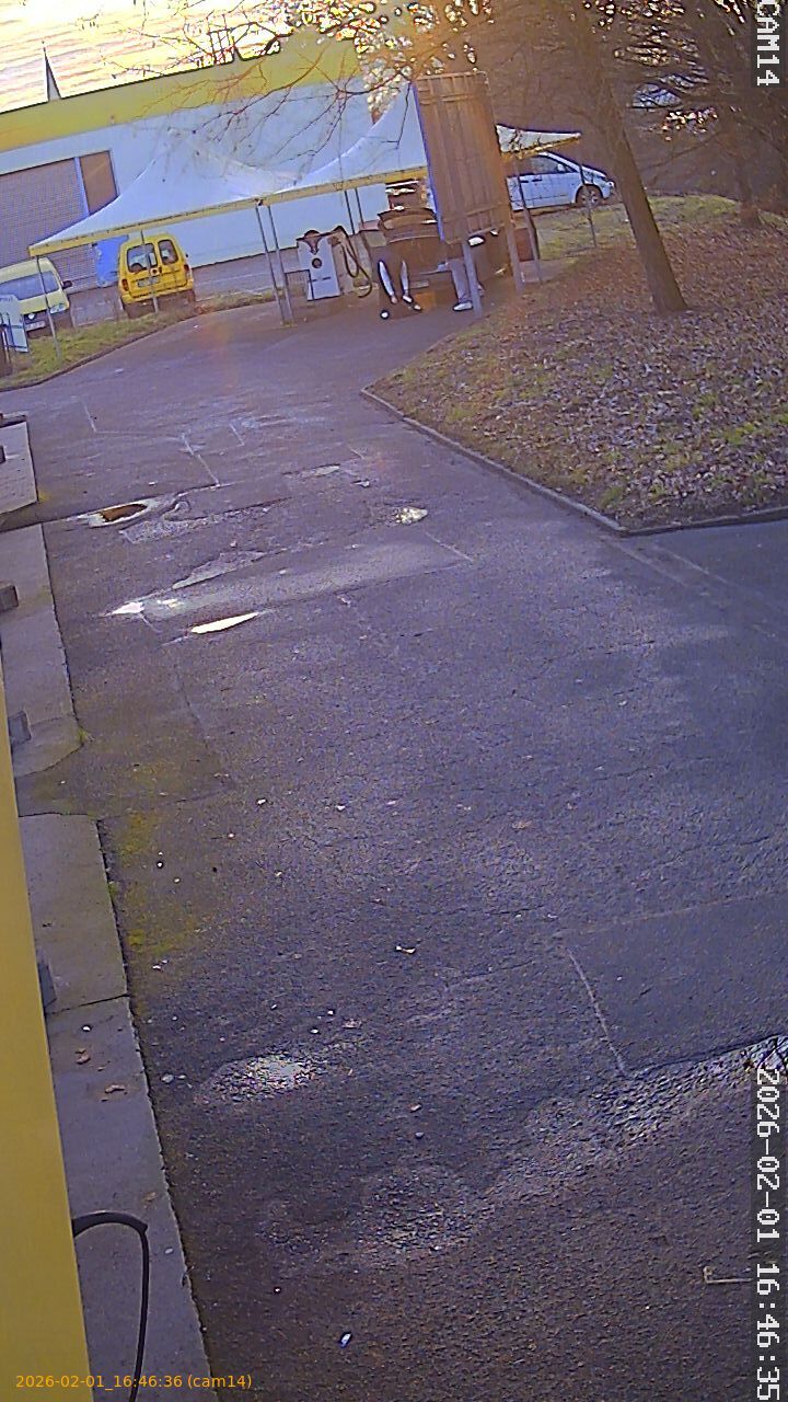 thumbnail_20260201164636