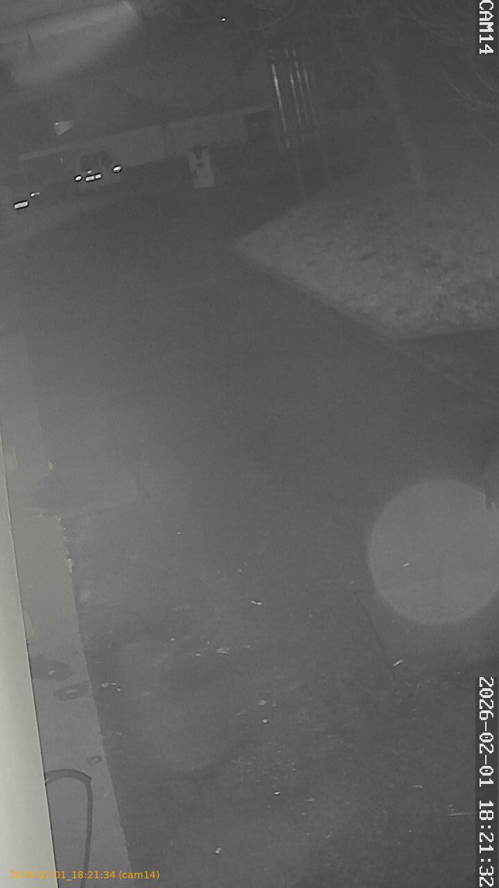 thumbnail_20260201182134