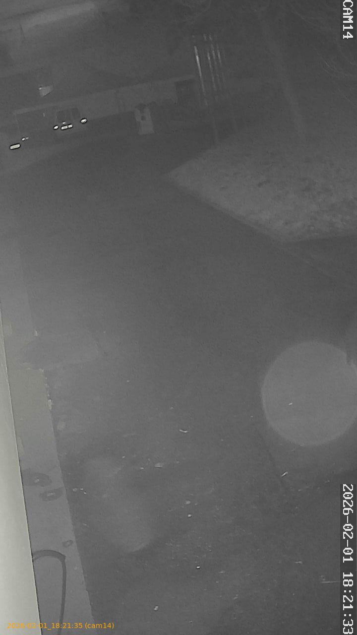 thumbnail_20260201182135