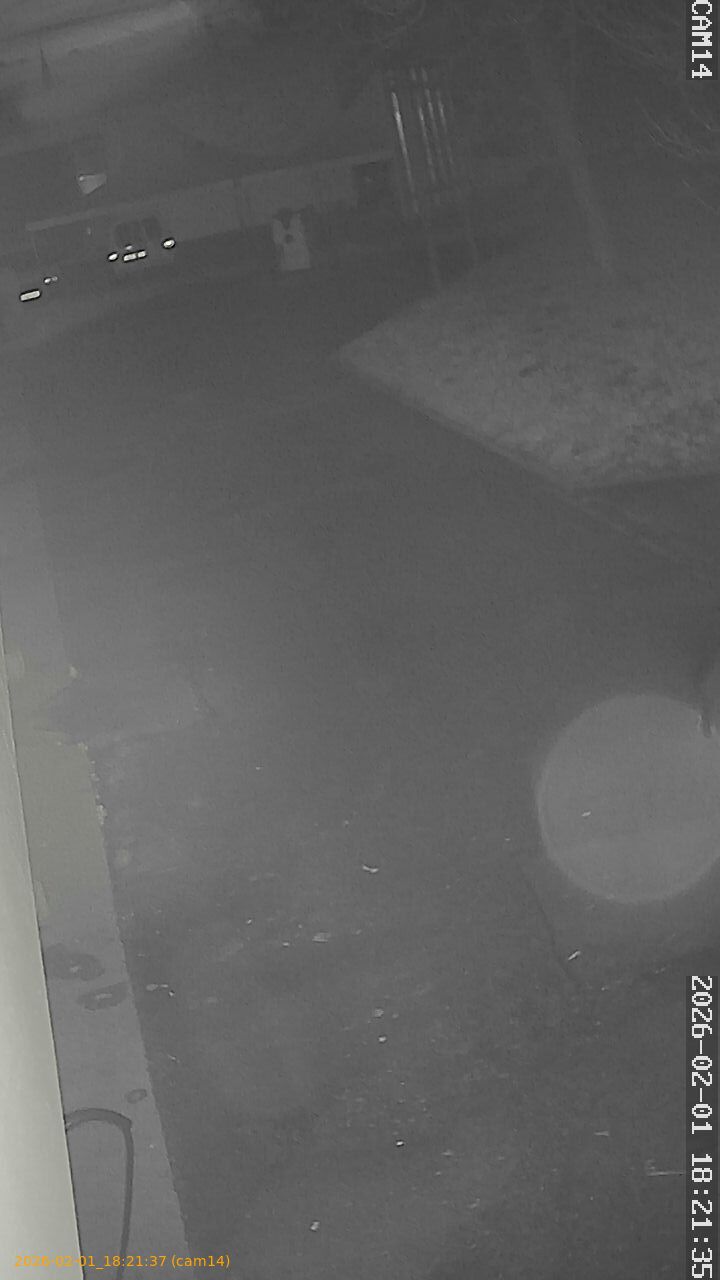 thumbnail_20260201182137