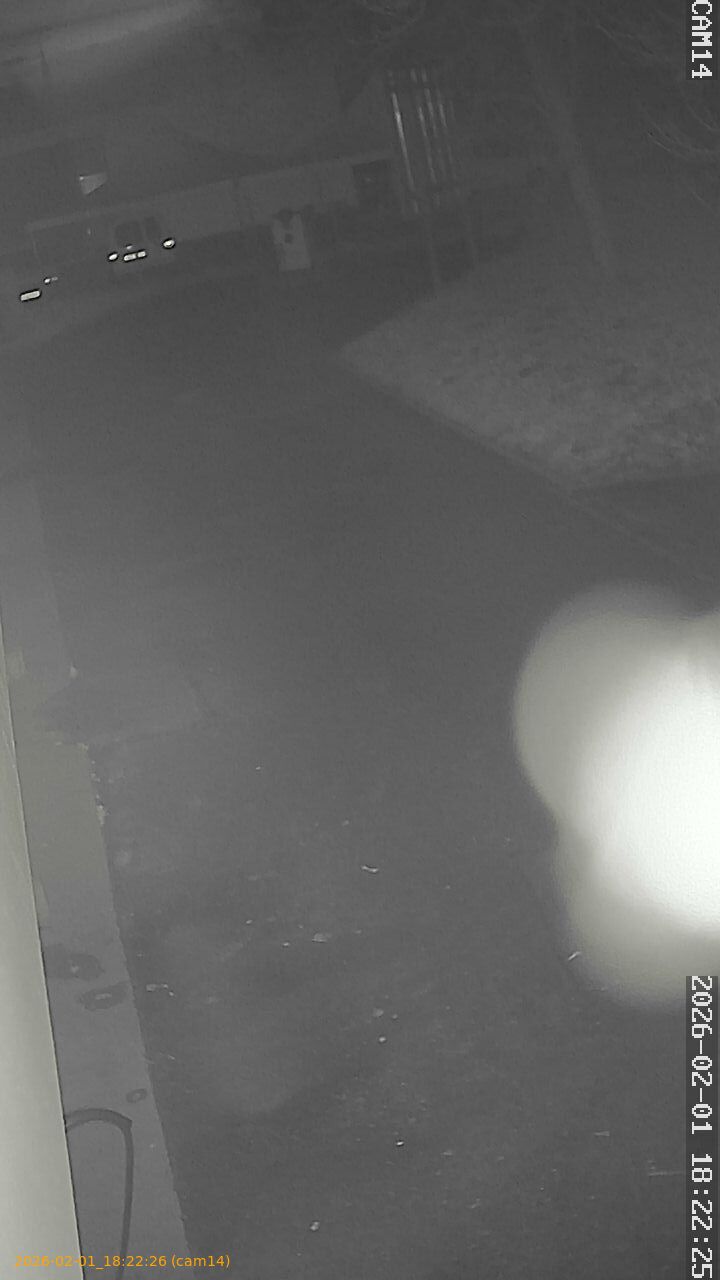 thumbnail_20260201182226