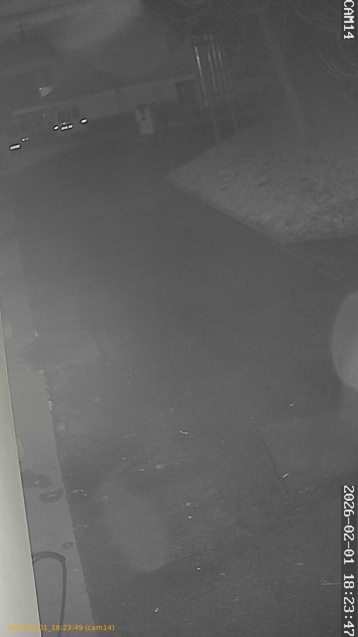 thumbnail_20260201182349