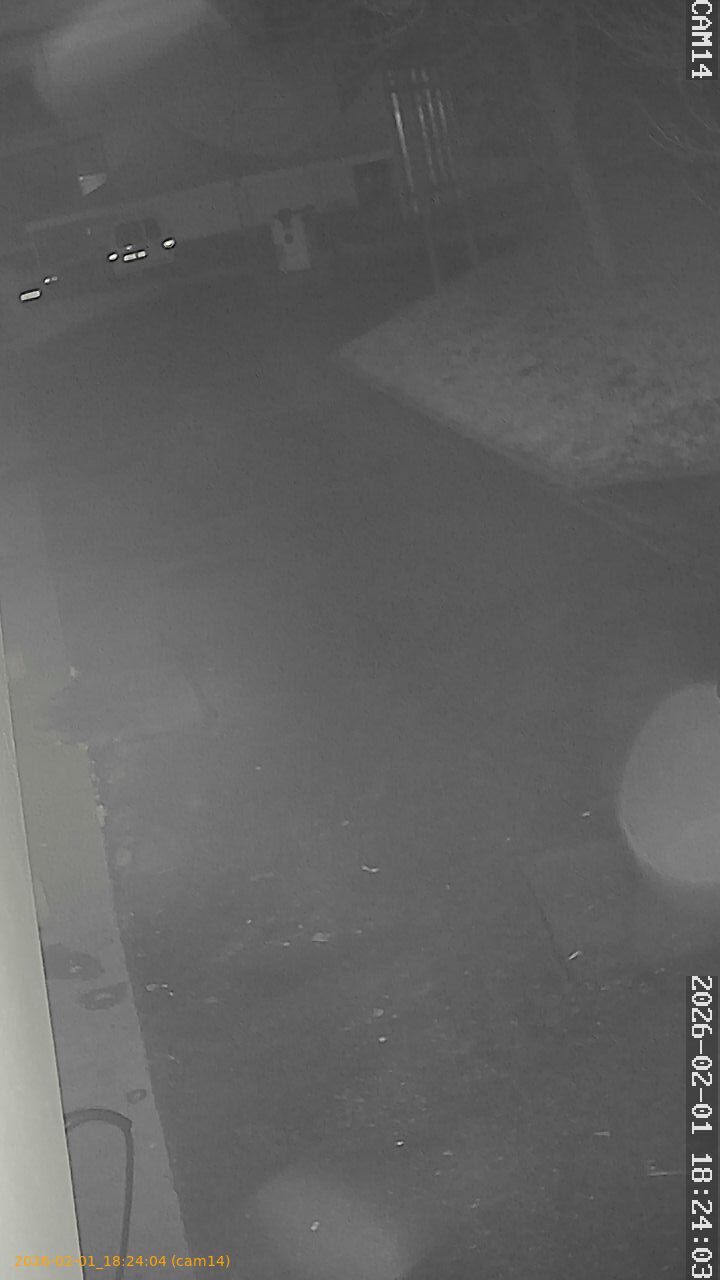 thumbnail_20260201182404