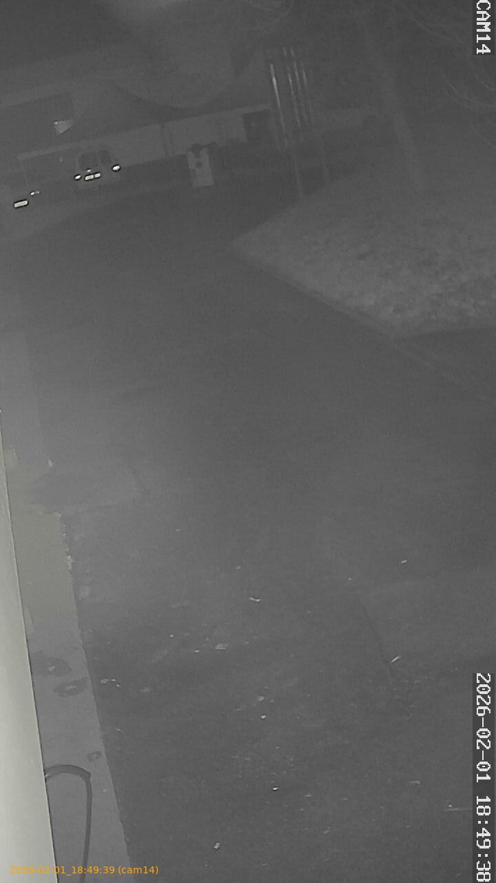 thumbnail_20260201184939