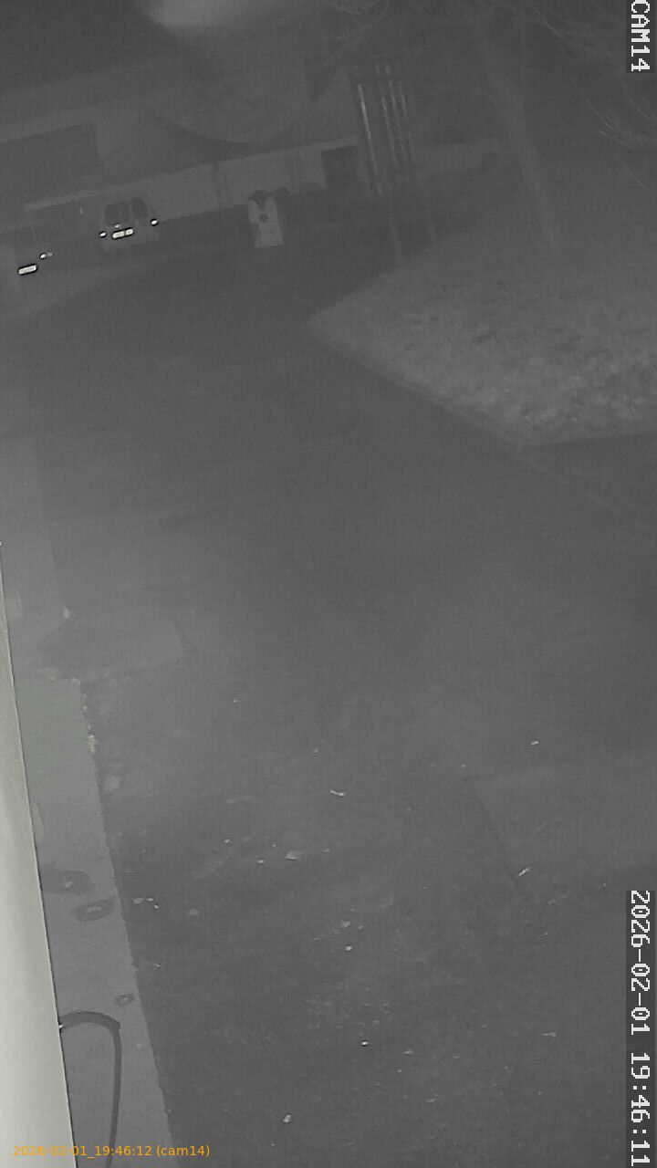 thumbnail_20260201194612