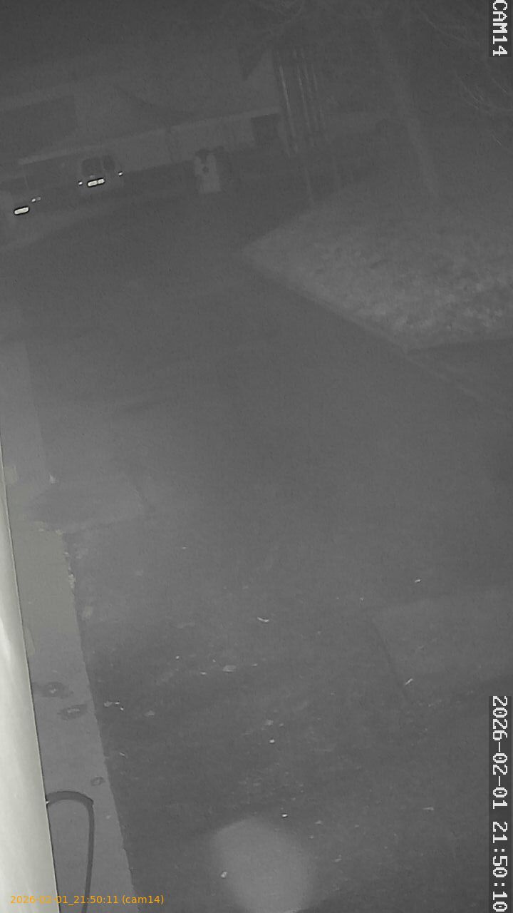 thumbnail_20260201215011