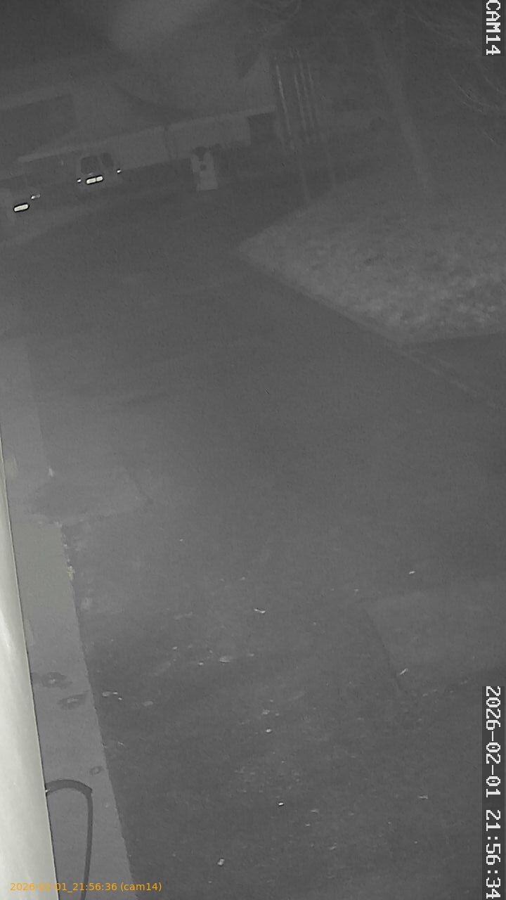 thumbnail_20260201215636