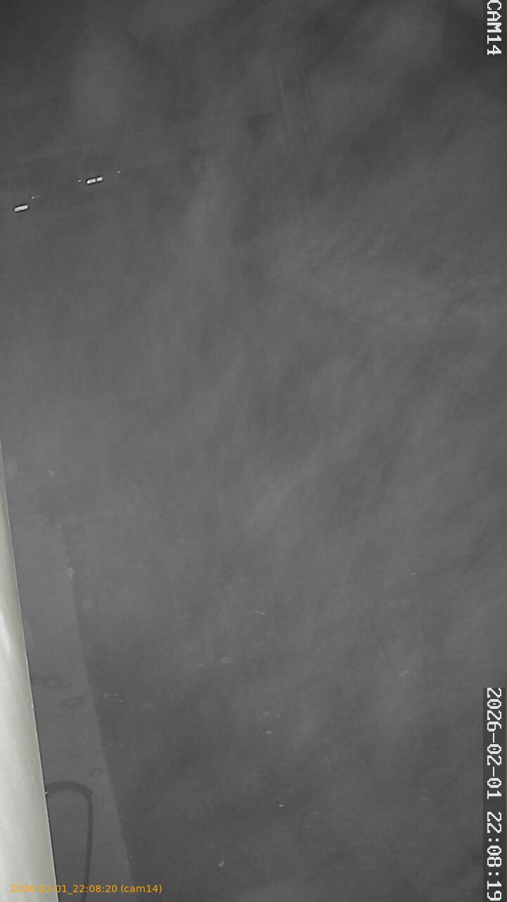 thumbnail_20260201220820