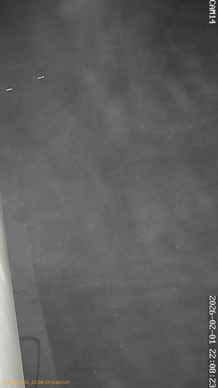 thumbnail_20260201220824