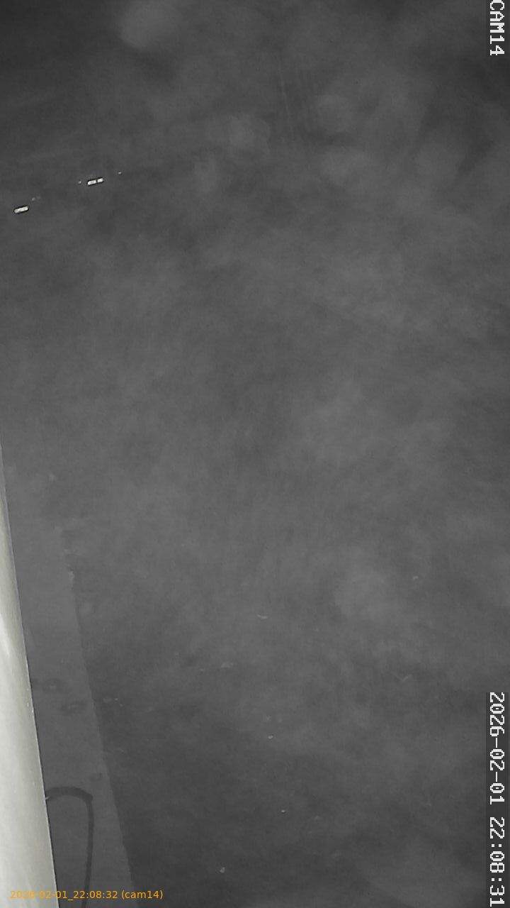 thumbnail_20260201220832