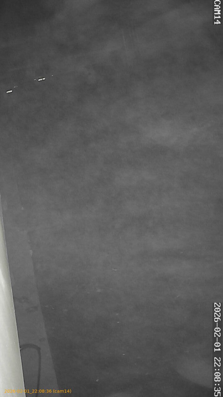 thumbnail_20260201220836