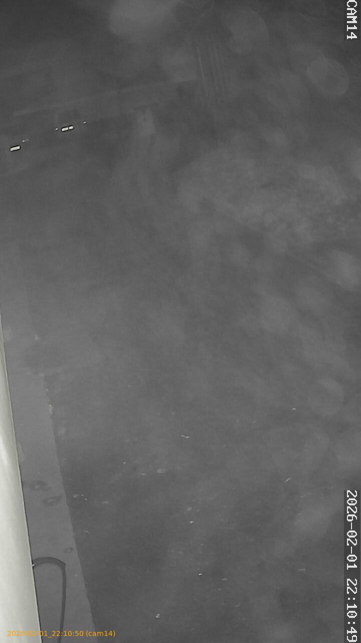 thumbnail_20260201221050