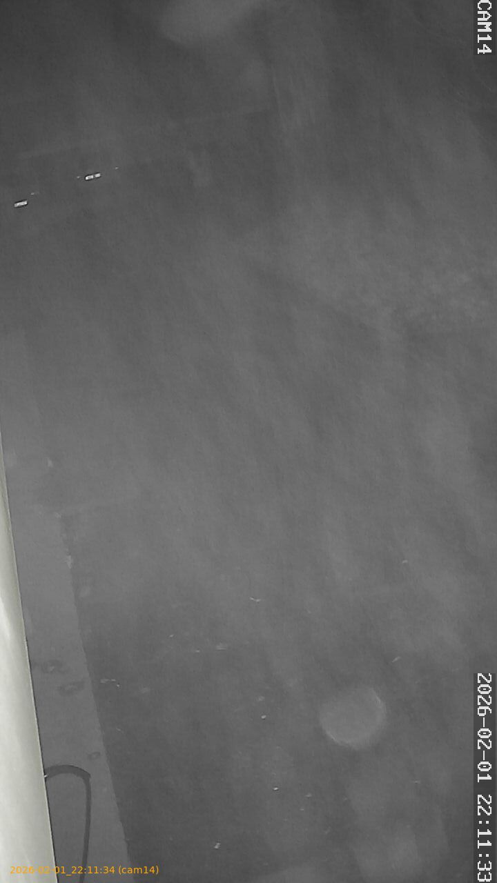 thumbnail_20260201221134