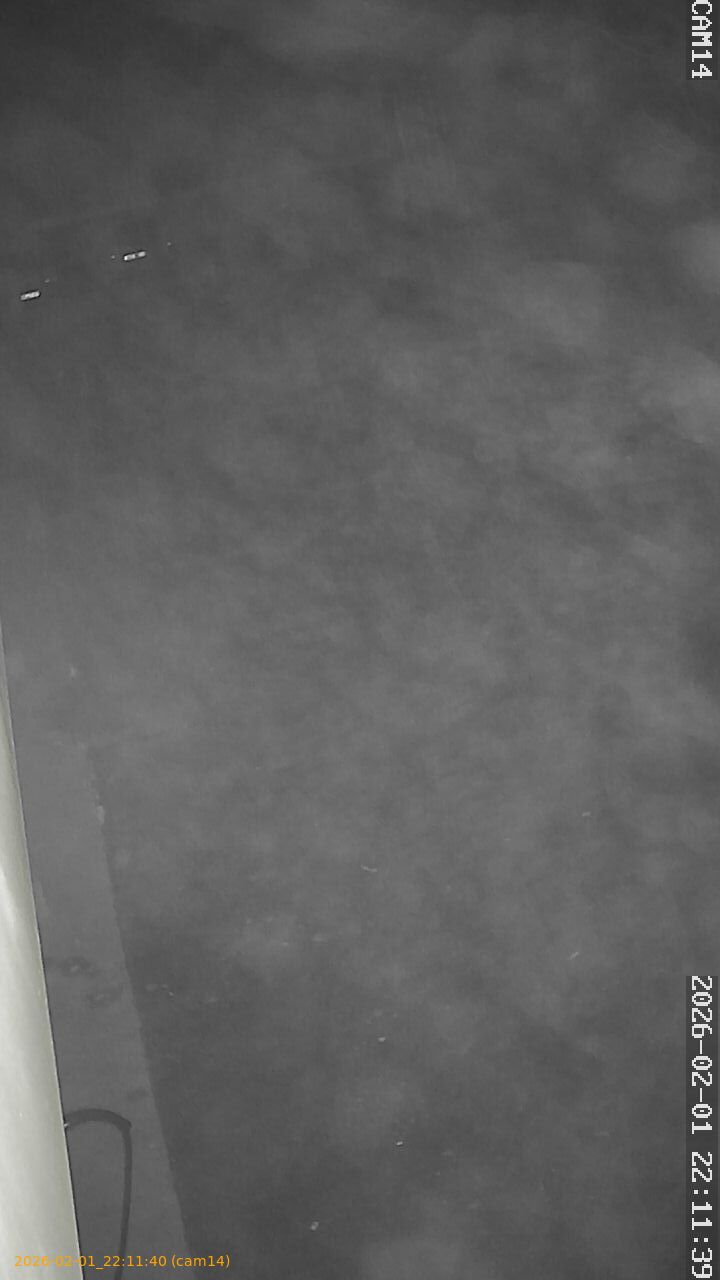 thumbnail_20260201221140