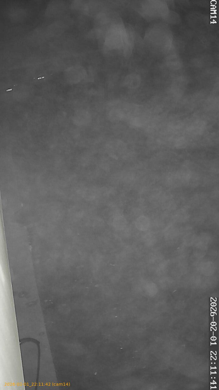 thumbnail_20260201221141