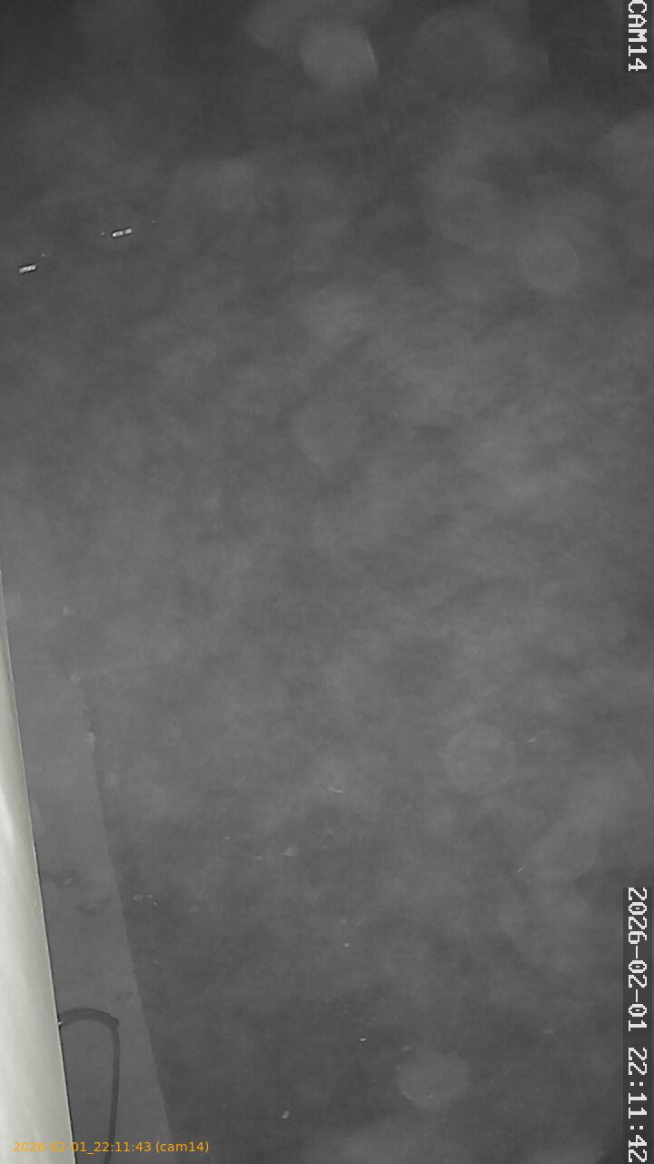 thumbnail_20260201221142