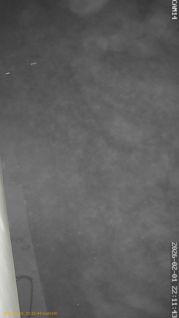 thumbnail_20260201221143