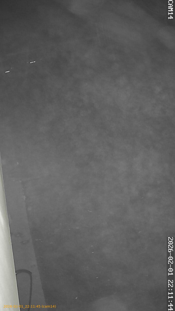 thumbnail_20260201221144