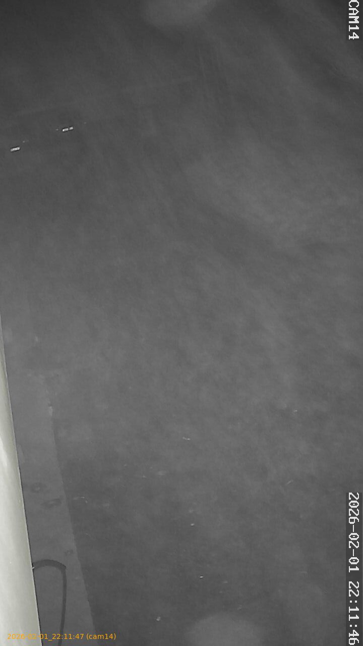 thumbnail_20260201221146