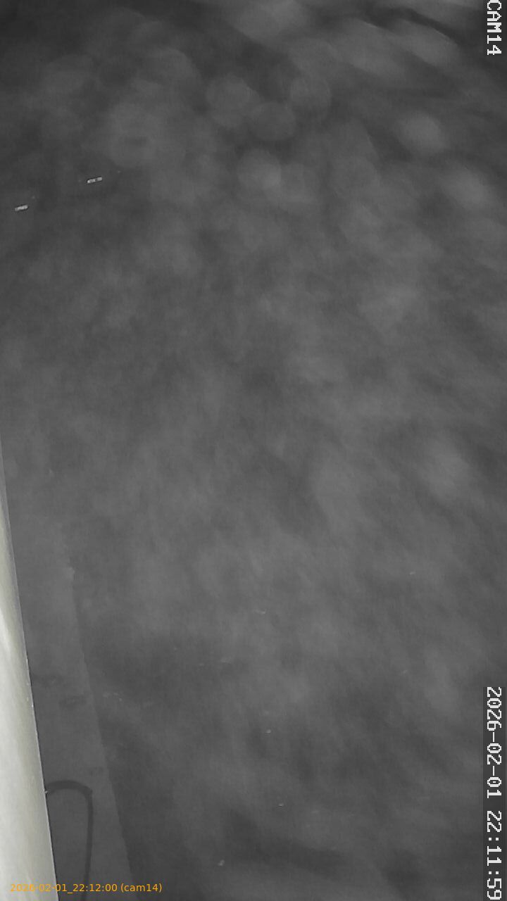 thumbnail_20260201221200