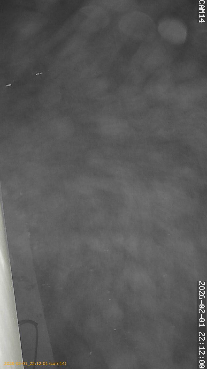 thumbnail_20260201221201