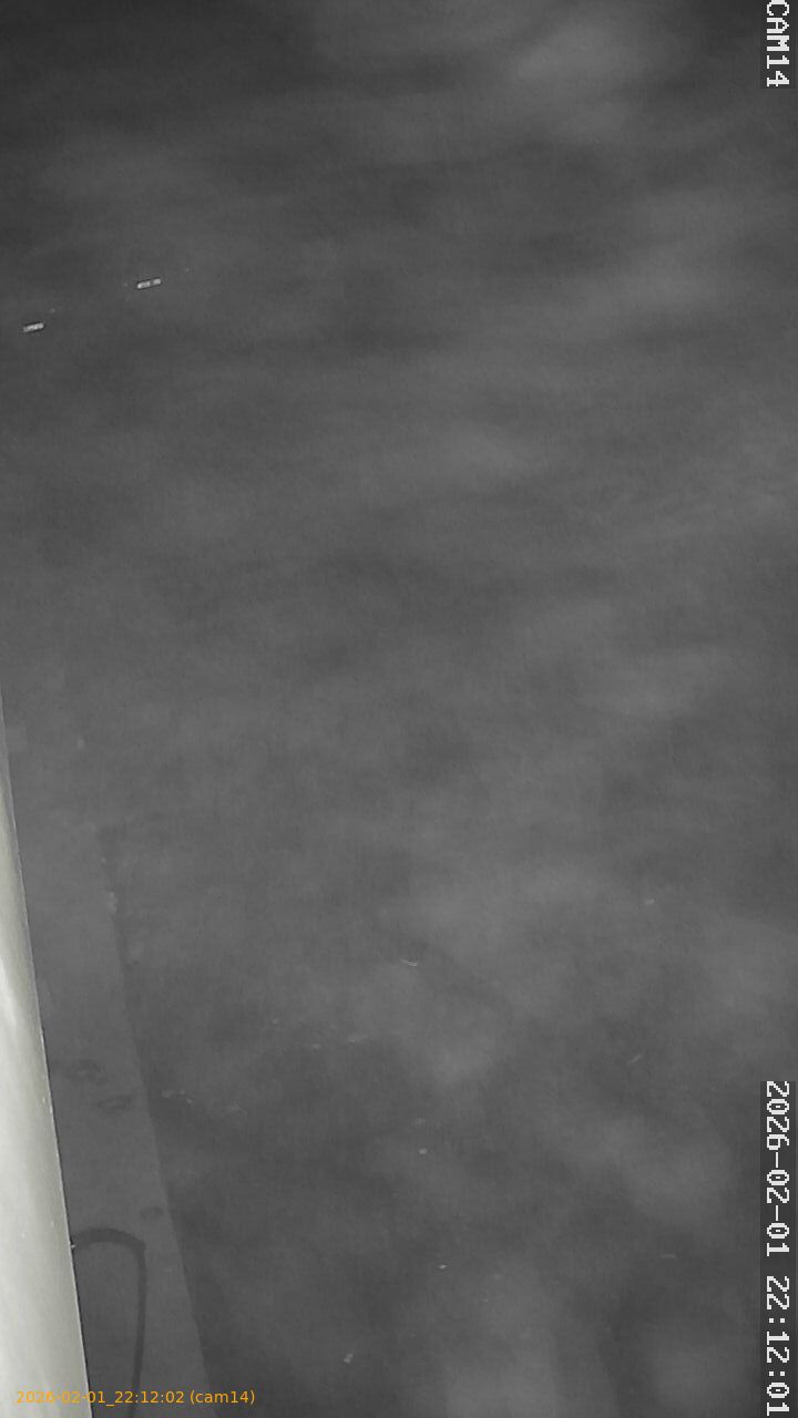 thumbnail_20260201221202