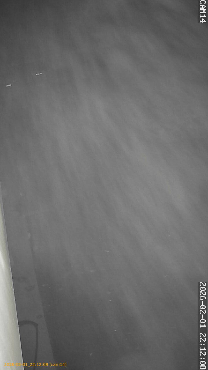 thumbnail_20260201221209