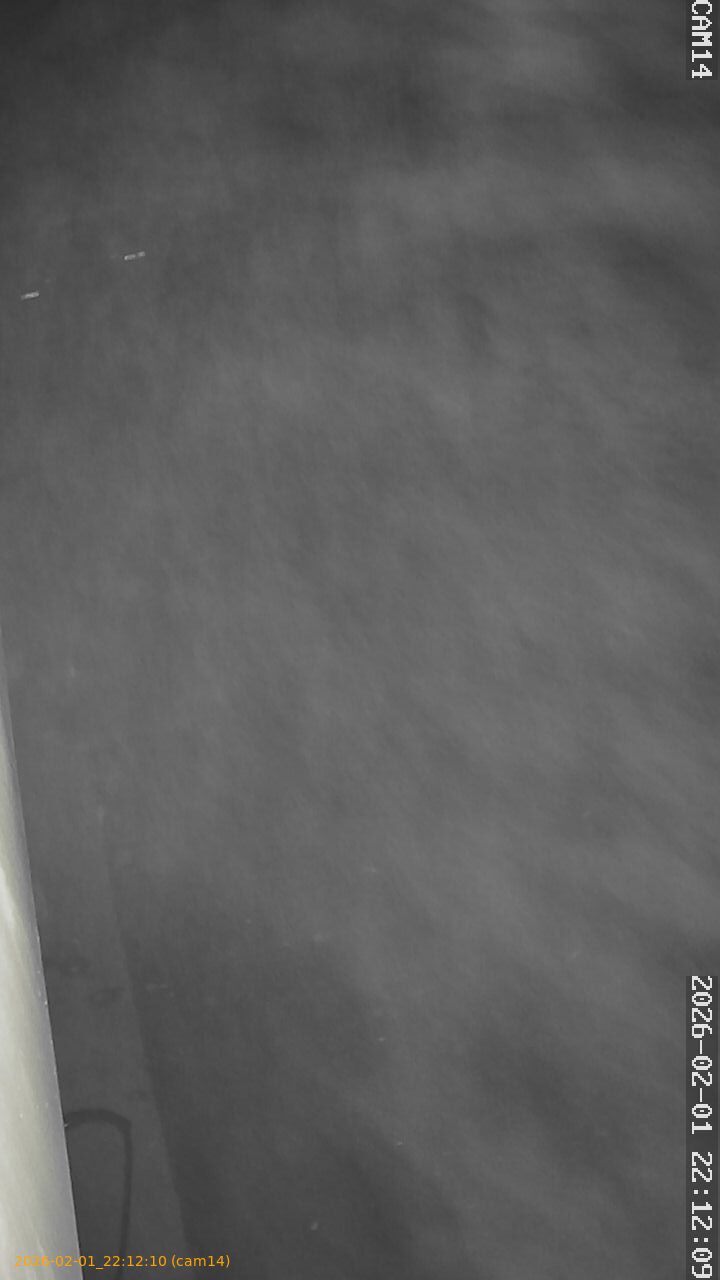 thumbnail_20260201221210