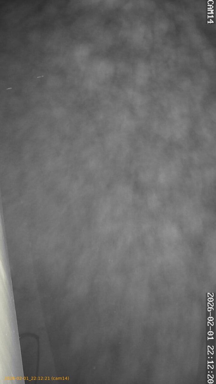 thumbnail_20260201221221