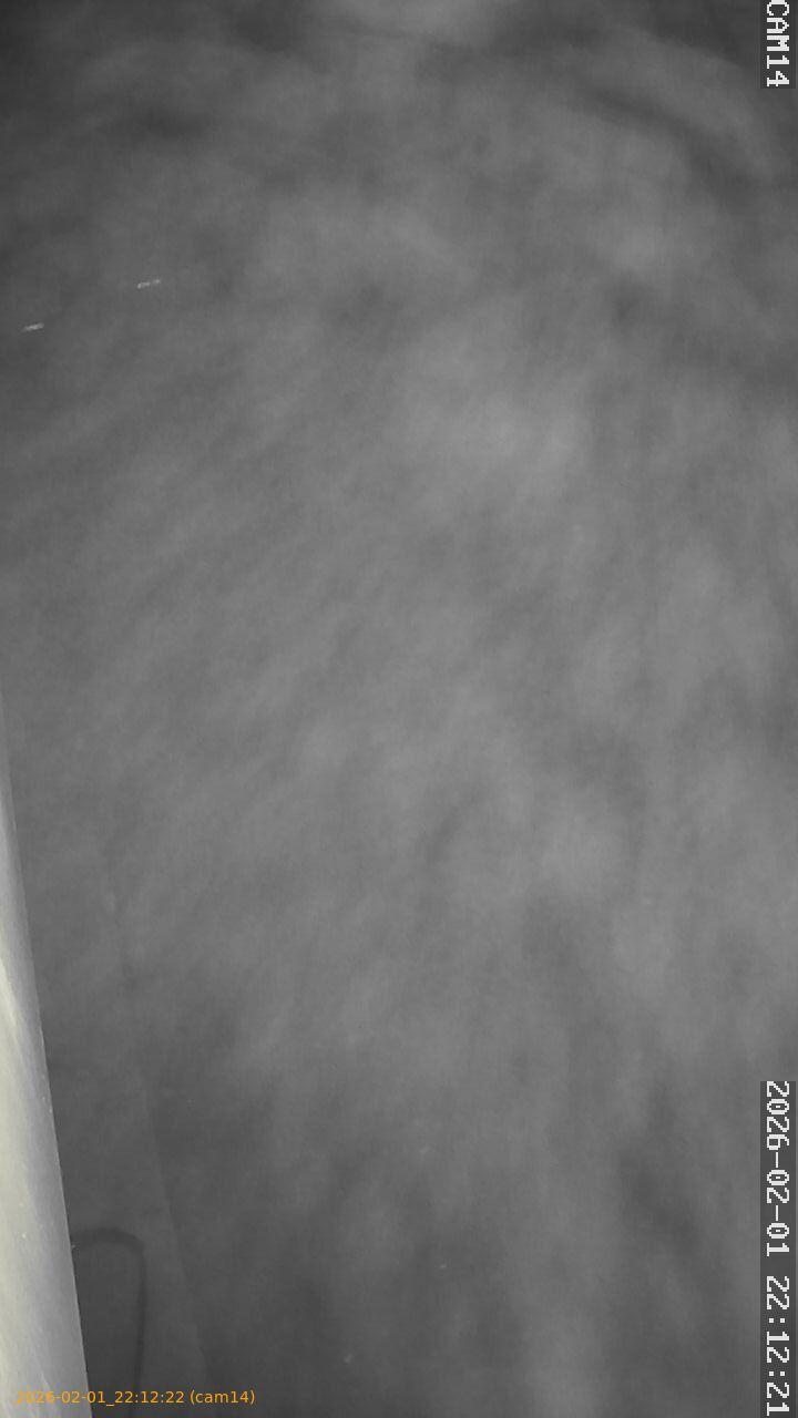 thumbnail_20260201221222