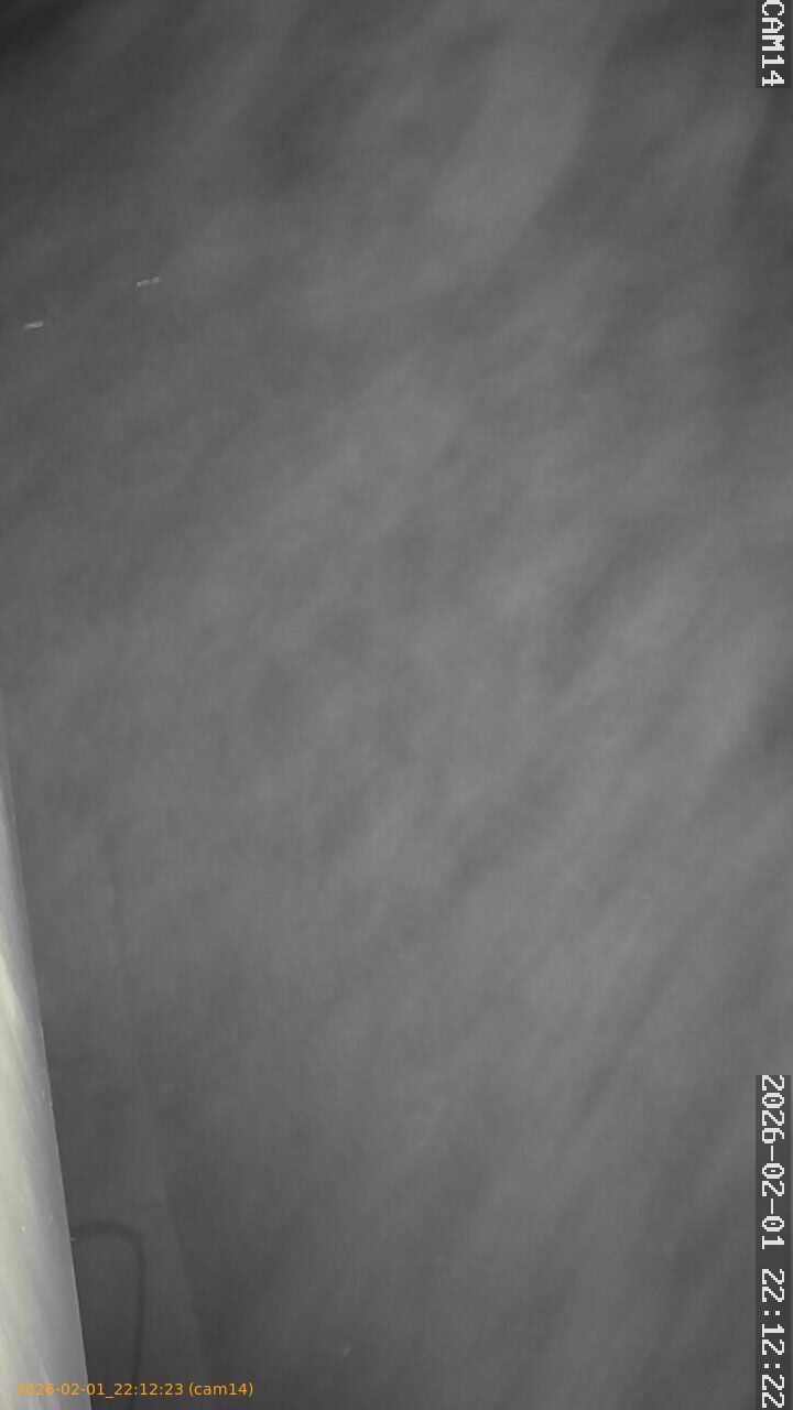 thumbnail_20260201221223