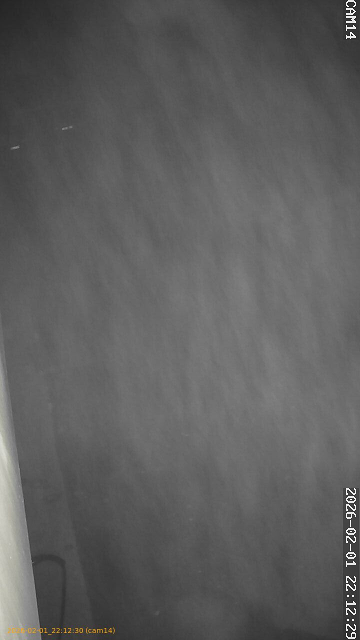 thumbnail_20260201221230