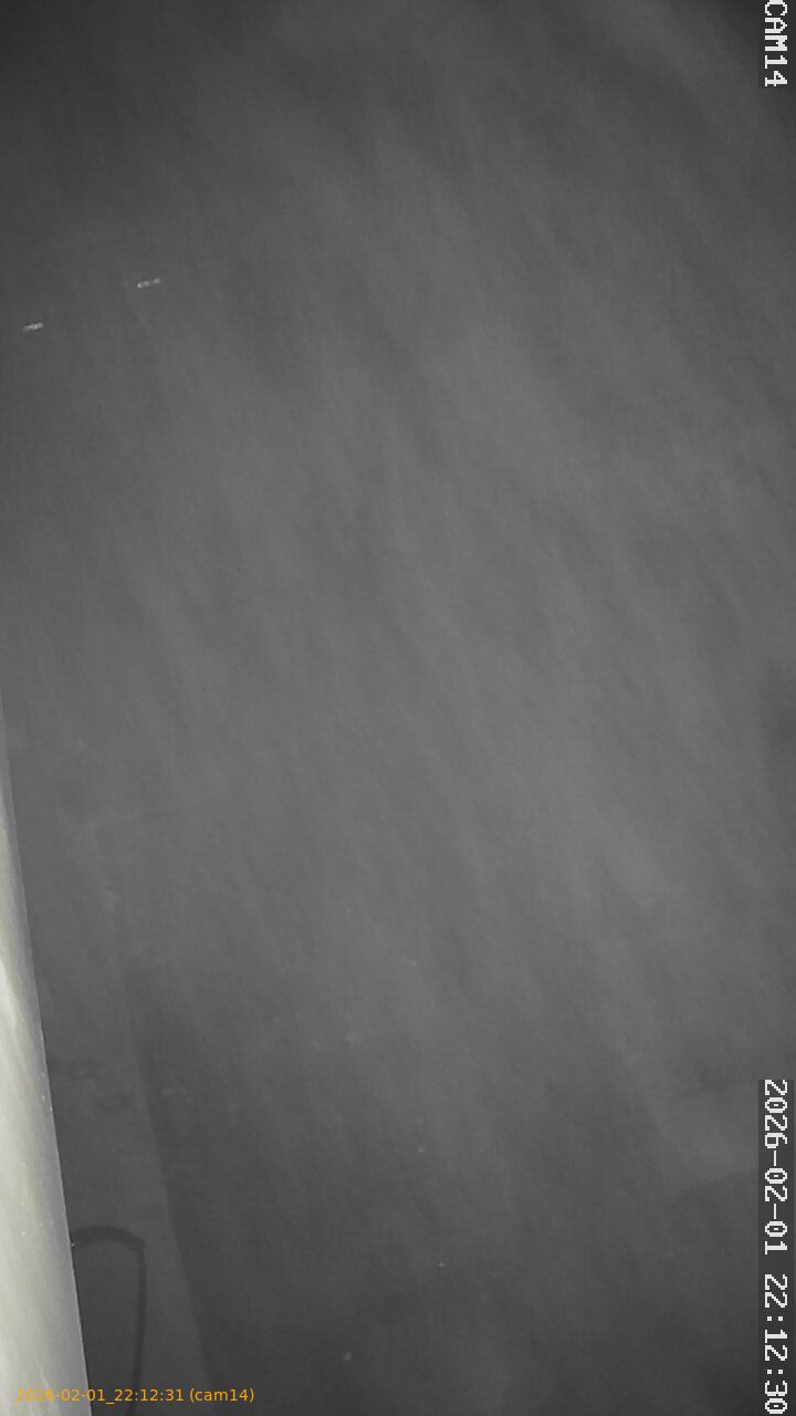 thumbnail_20260201221231