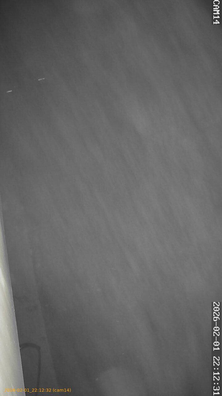 thumbnail_20260201221232