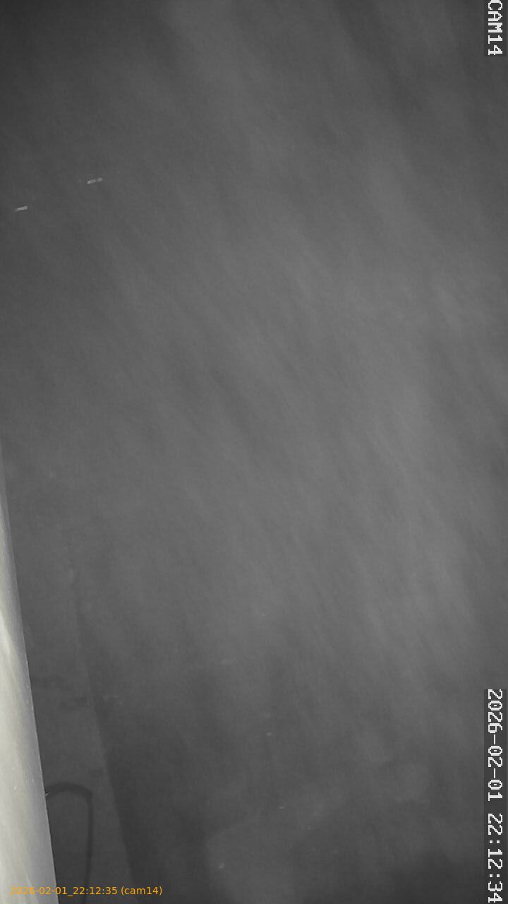 thumbnail_20260201221235