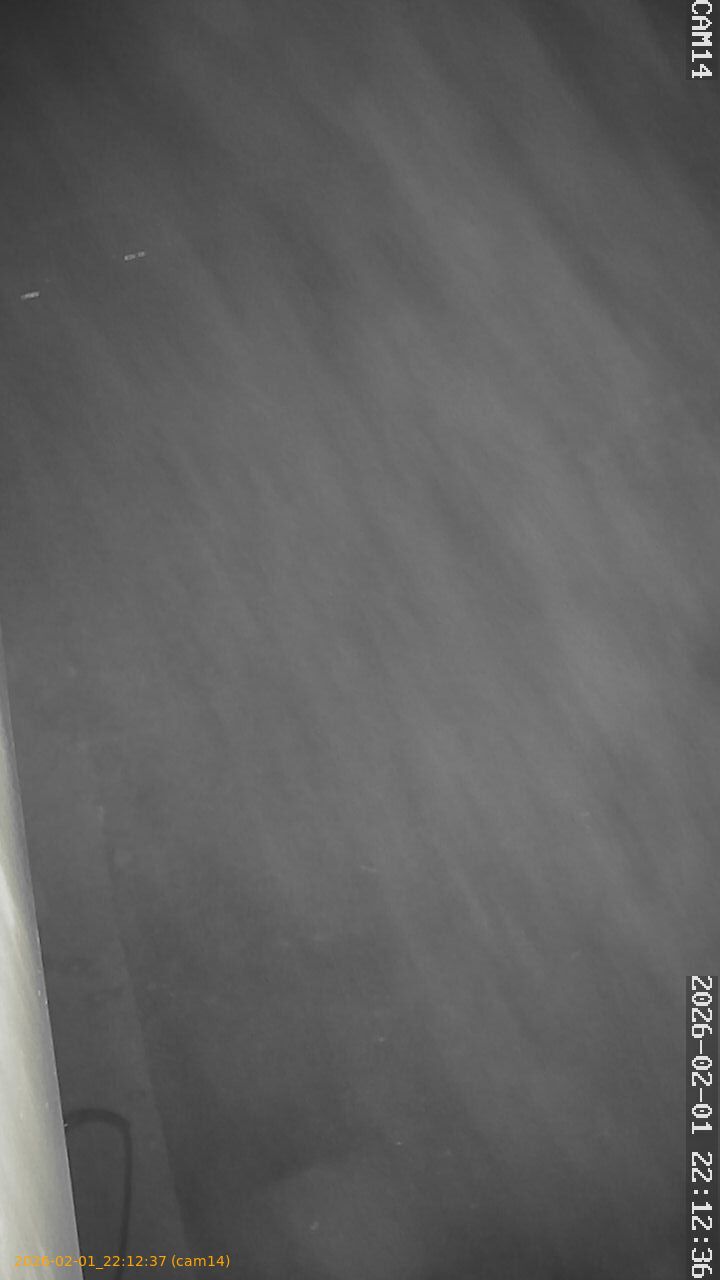 thumbnail_20260201221237