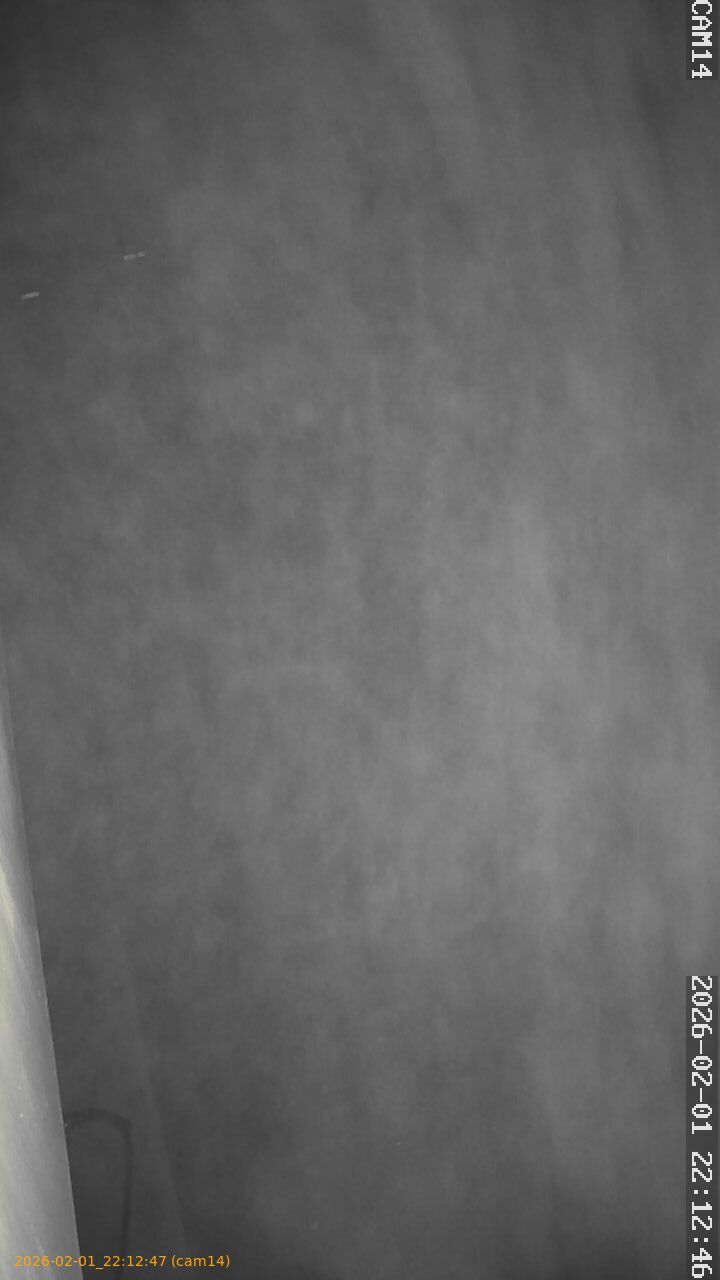 thumbnail_20260201221247