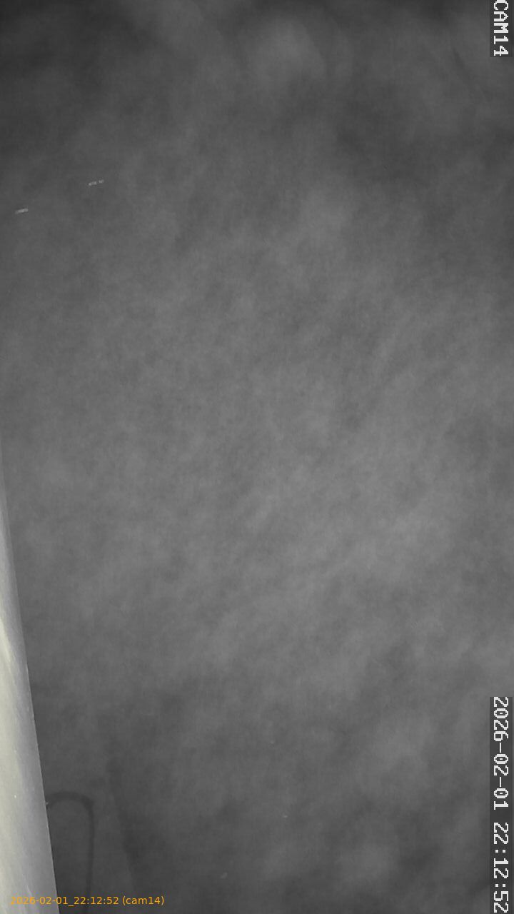 thumbnail_20260201221252