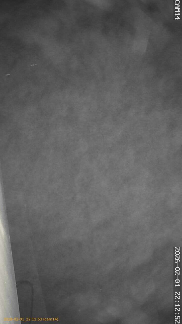 thumbnail_20260201221253