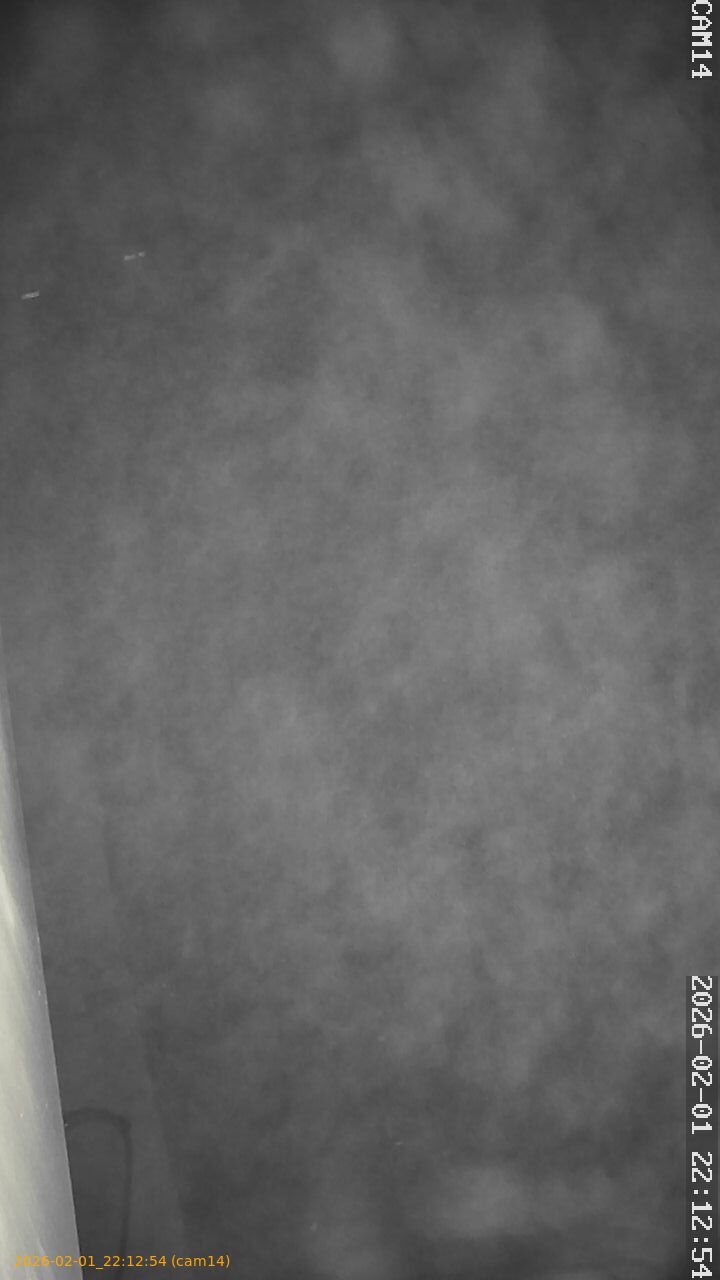 thumbnail_20260201221254