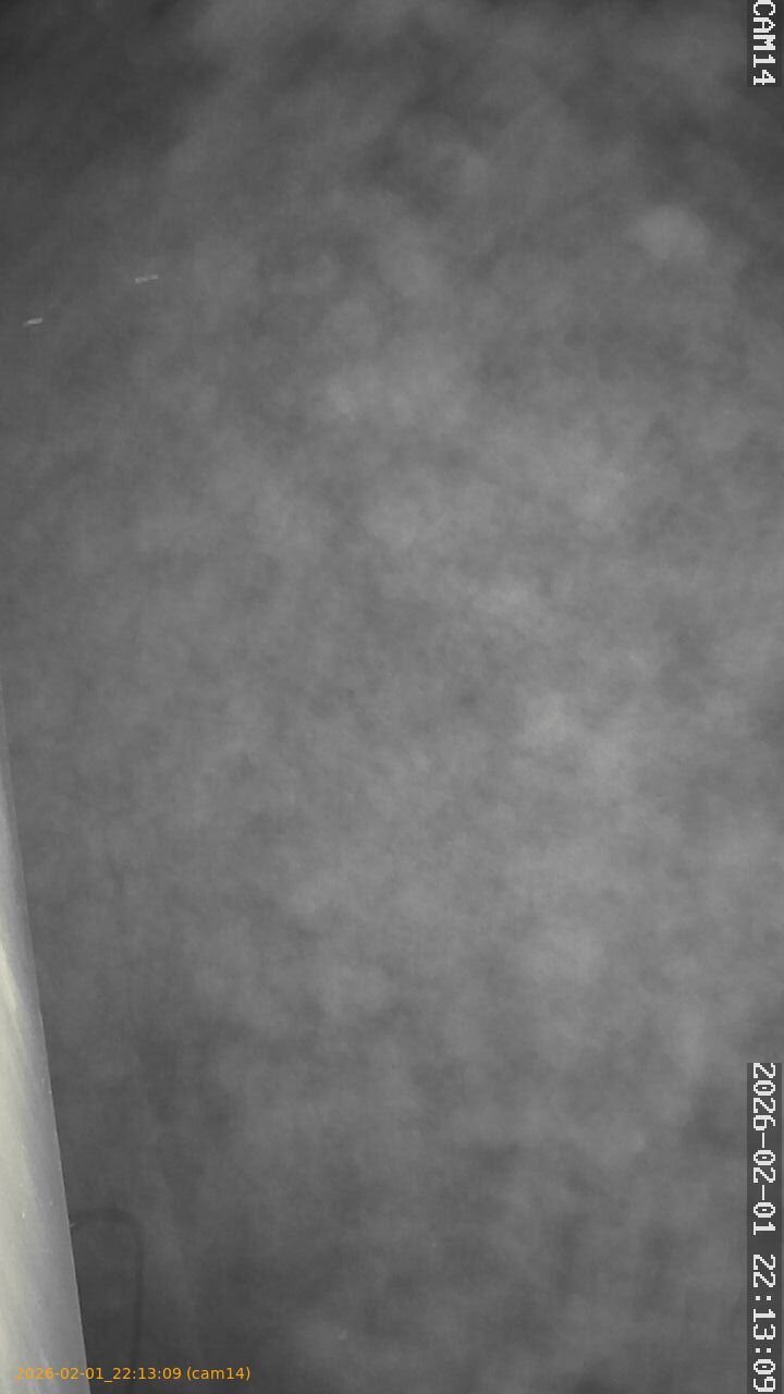 thumbnail_20260201221309