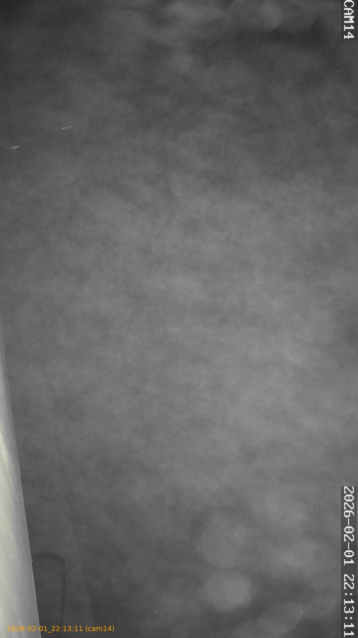 thumbnail_20260201221311