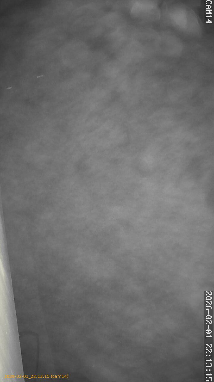 thumbnail_20260201221315